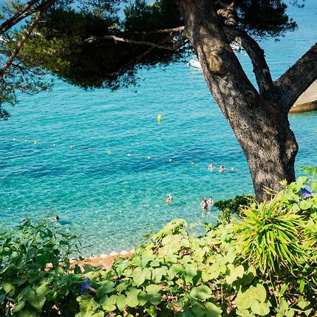 Cabanon Moderne, Les Pieds Dans L'Eau, 2 Chambres Le Pradet Εξωτερικό φωτογραφία
