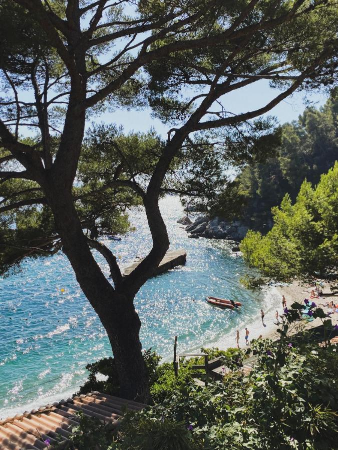 Cabanon Moderne, Les Pieds Dans L'Eau, 2 Chambres Le Pradet Εξωτερικό φωτογραφία