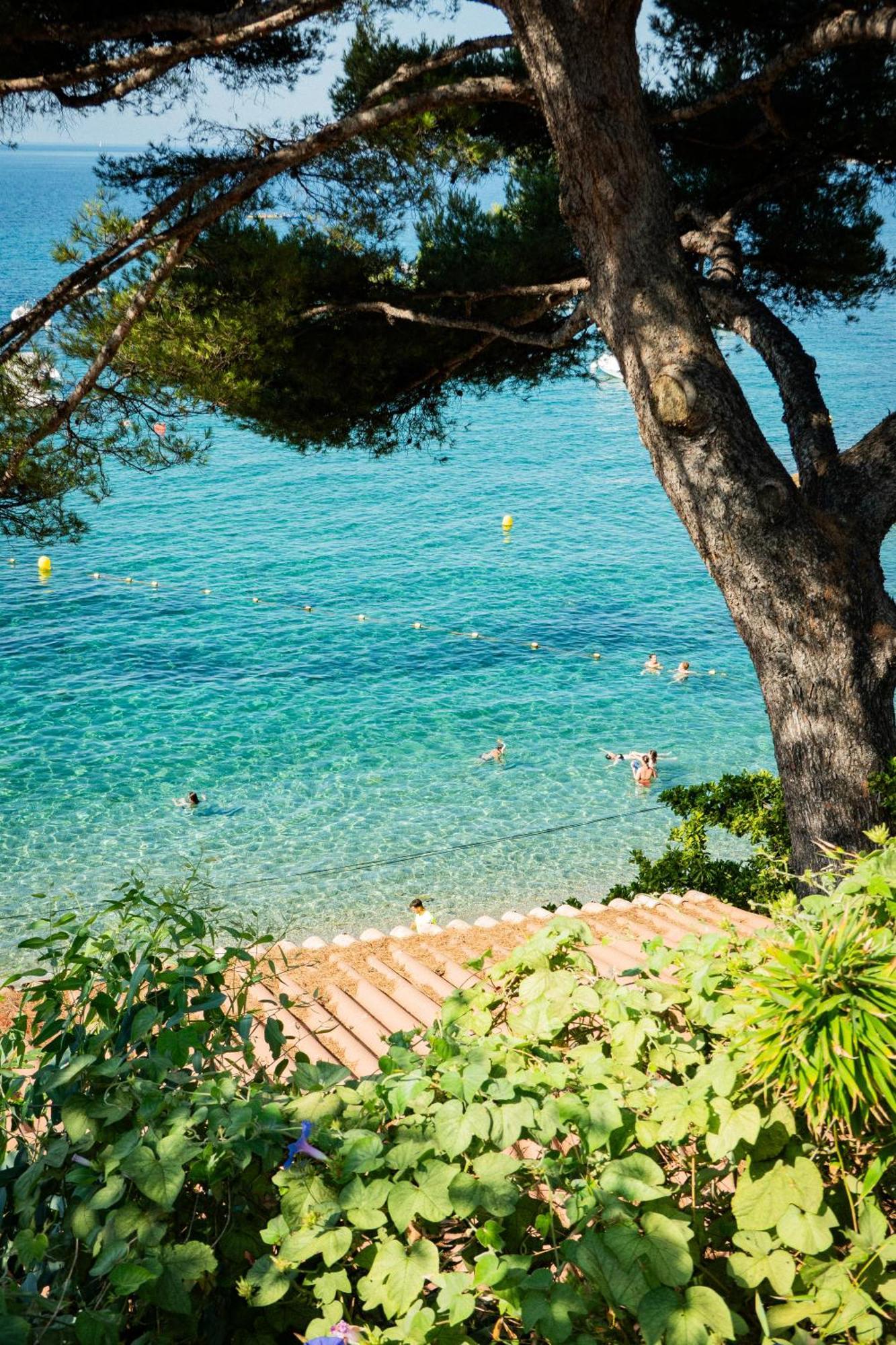 Cabanon Moderne, Les Pieds Dans L'Eau, 2 Chambres Le Pradet Εξωτερικό φωτογραφία